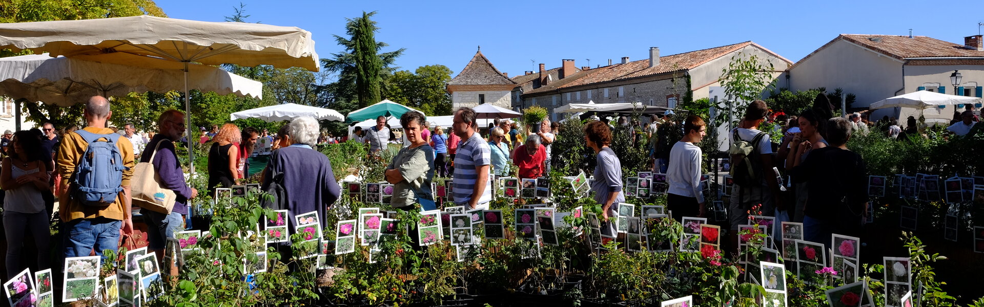 Agenda des manifestations