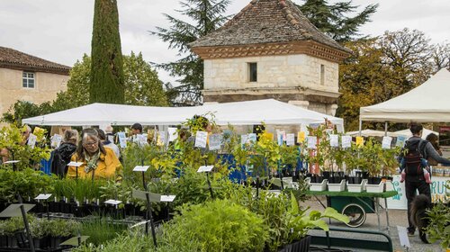 FOIRE AUX PLANTES 9ème Edition