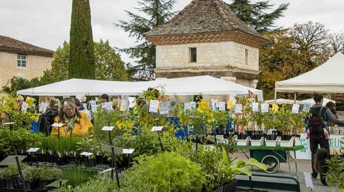 FOIRE AUX PLANTES 10ème Edition